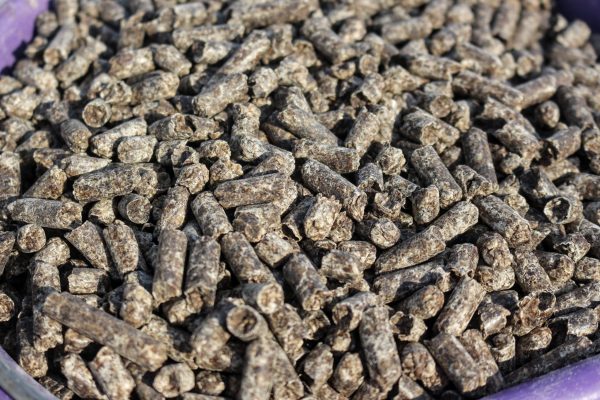 Beet Pulp Pellets