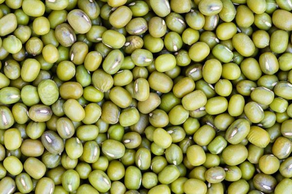 Mung Bean