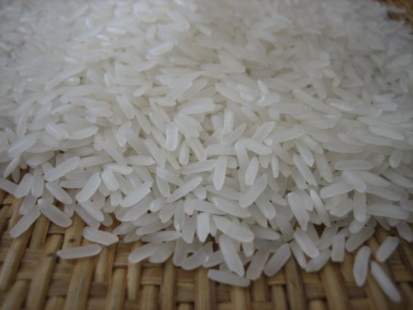 JASMINE RICE